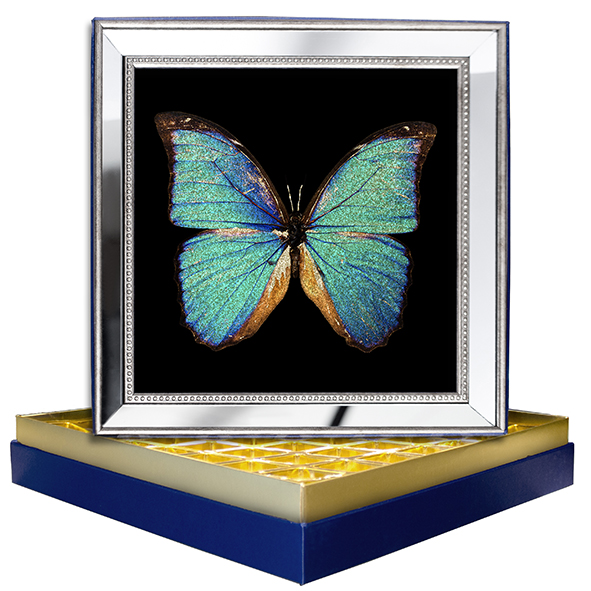 Mavi Kelebek Ayna Çerçeveli Çikolata Kutusu